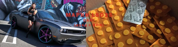 бошки Белокуриха