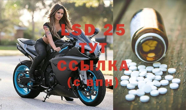бошки Белокуриха