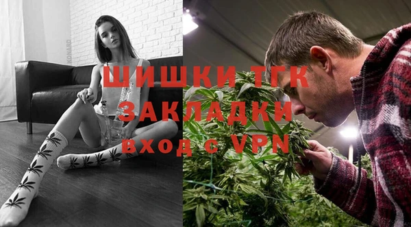 бошки Белокуриха