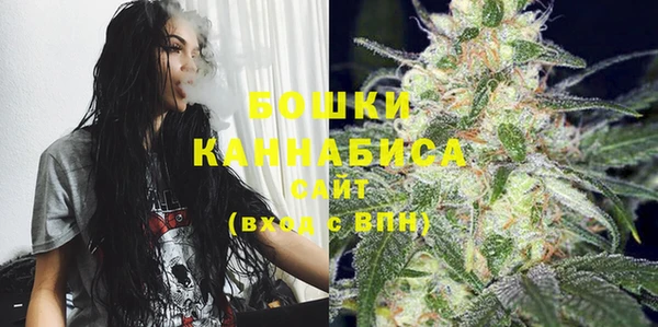 бошки Белокуриха