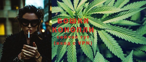 бошки Белокуриха