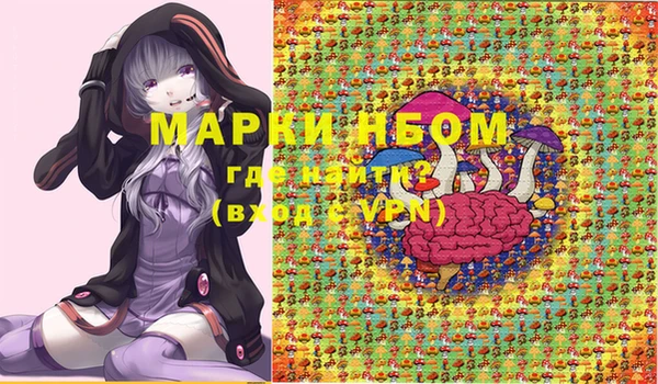 бошки Белокуриха